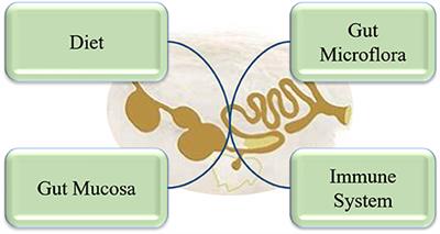 Dietary Fiber and Intestinal Health of Monogastric Animals